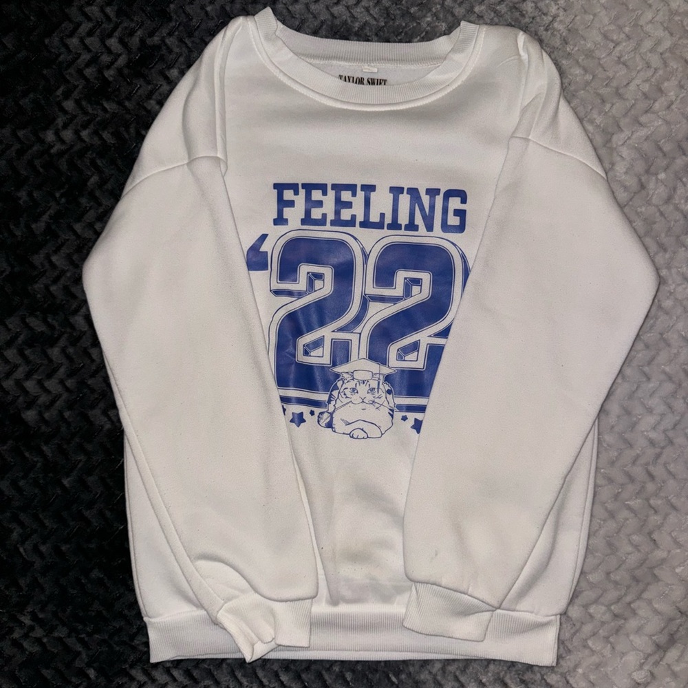 Taylor swift “feeling 22” merch (fan made) sweatshirt